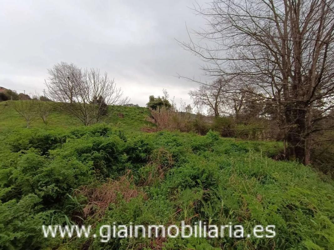Terreno en venta en Mondariz, Pontevedra photo 2