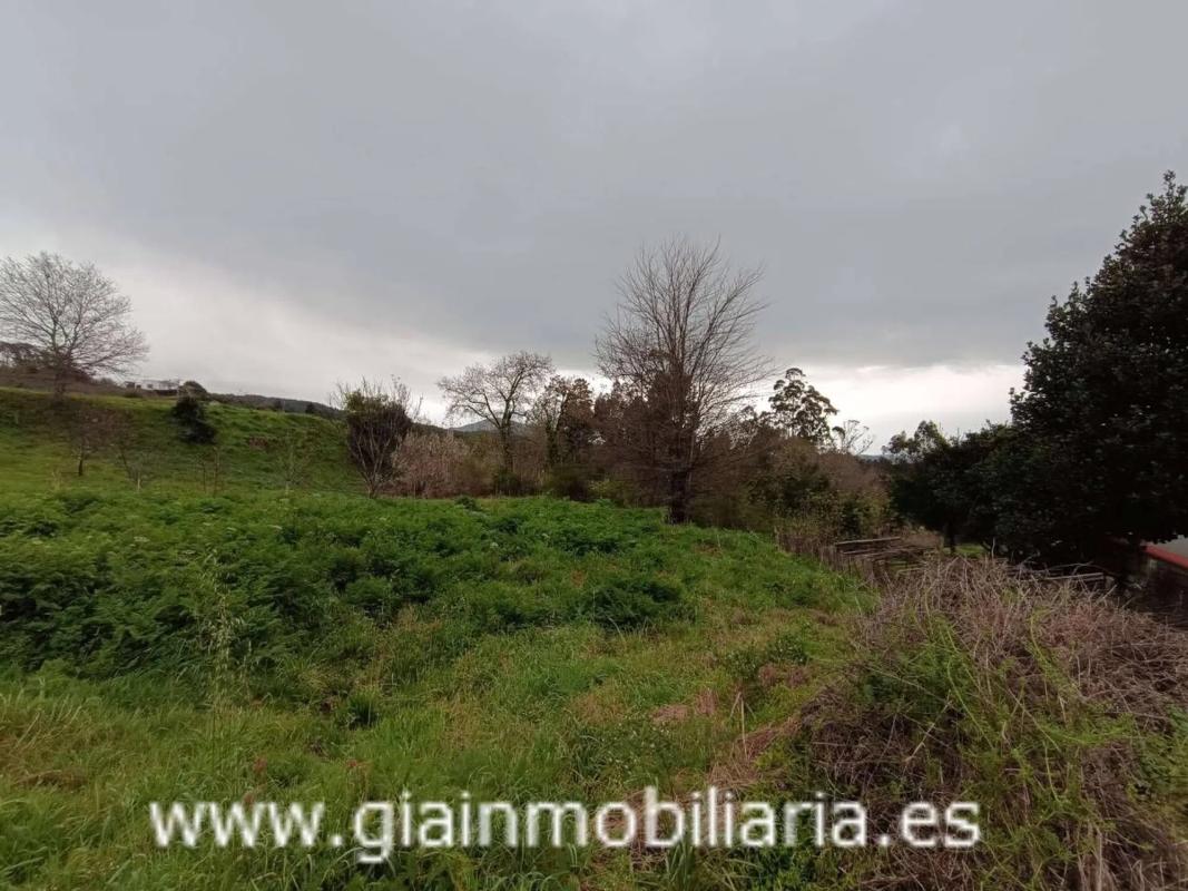Terreno en venta en Mondariz, Pontevedra photo 4