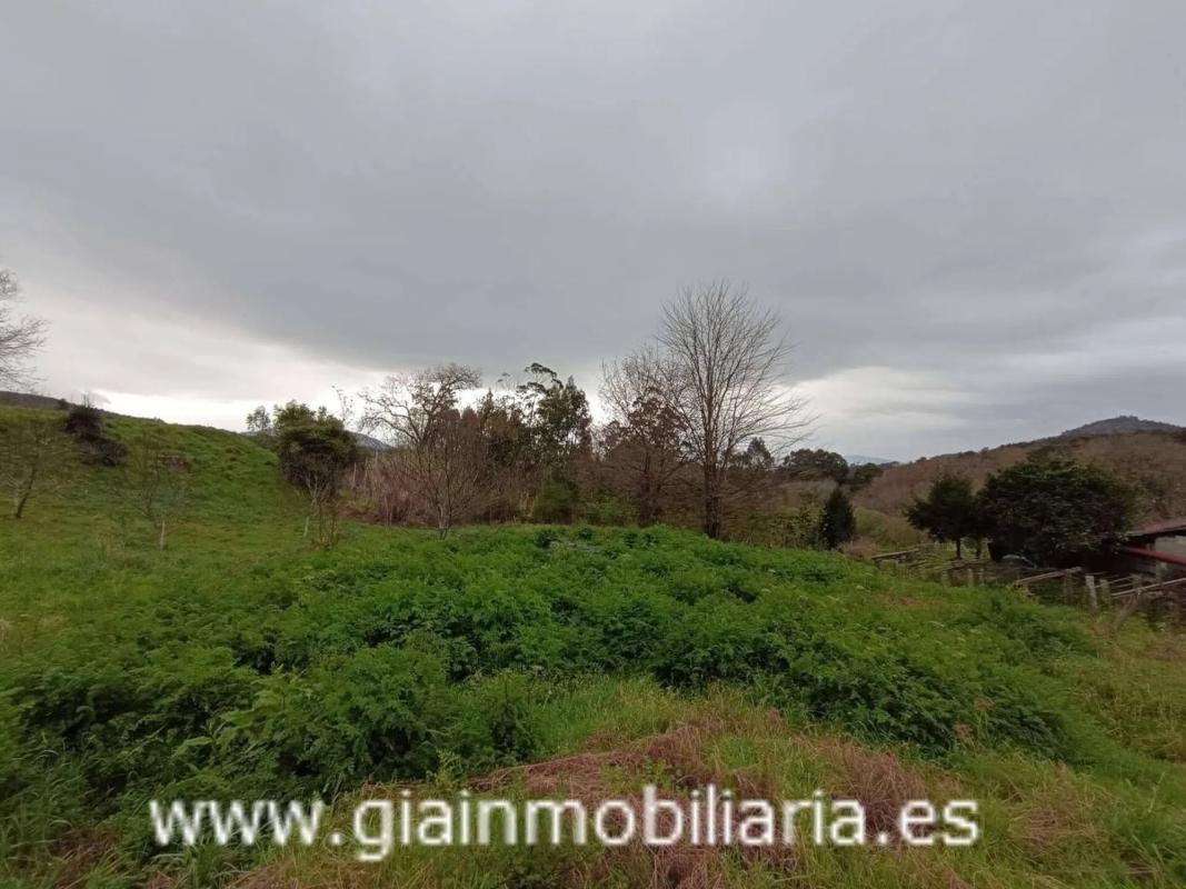 Terreno en venta en Mondariz, Pontevedra photo 5