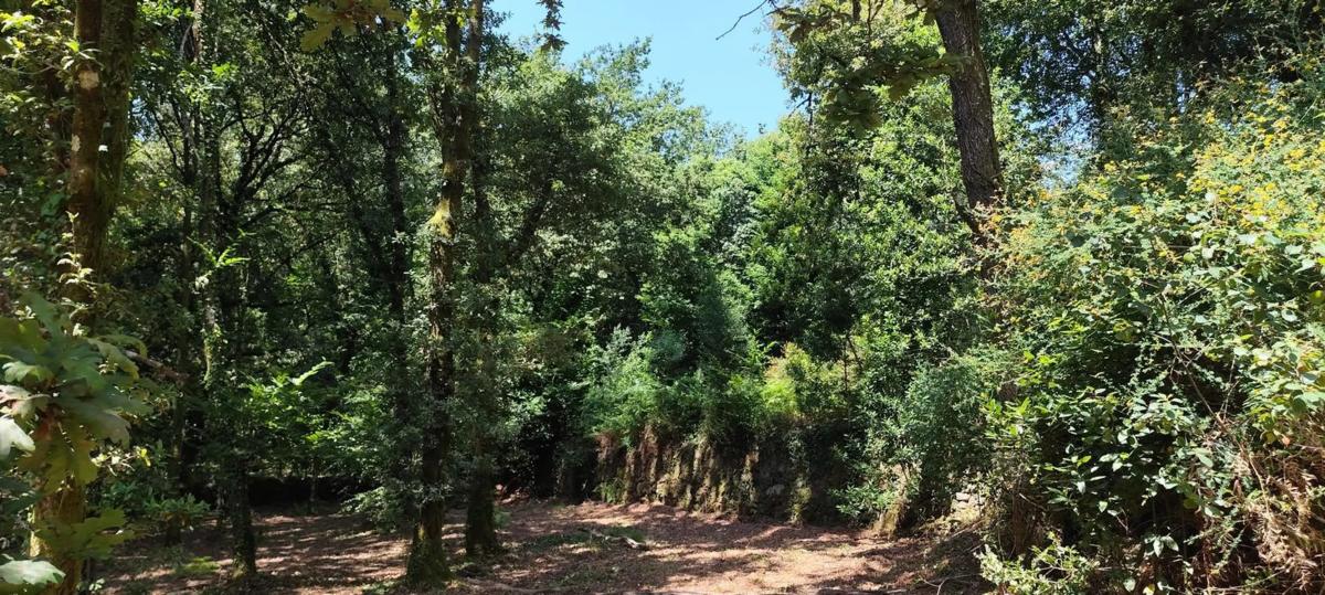 Terreno en venta en Mondariz, Pontevedra photo 3