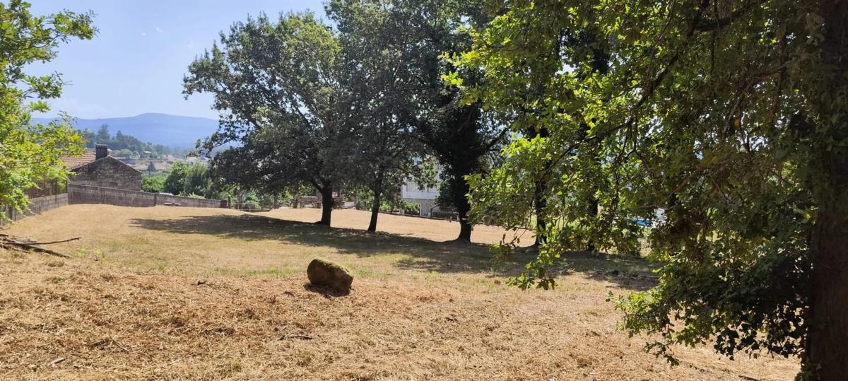 Terreno en venta en Mondariz, Pontevedra photo 4