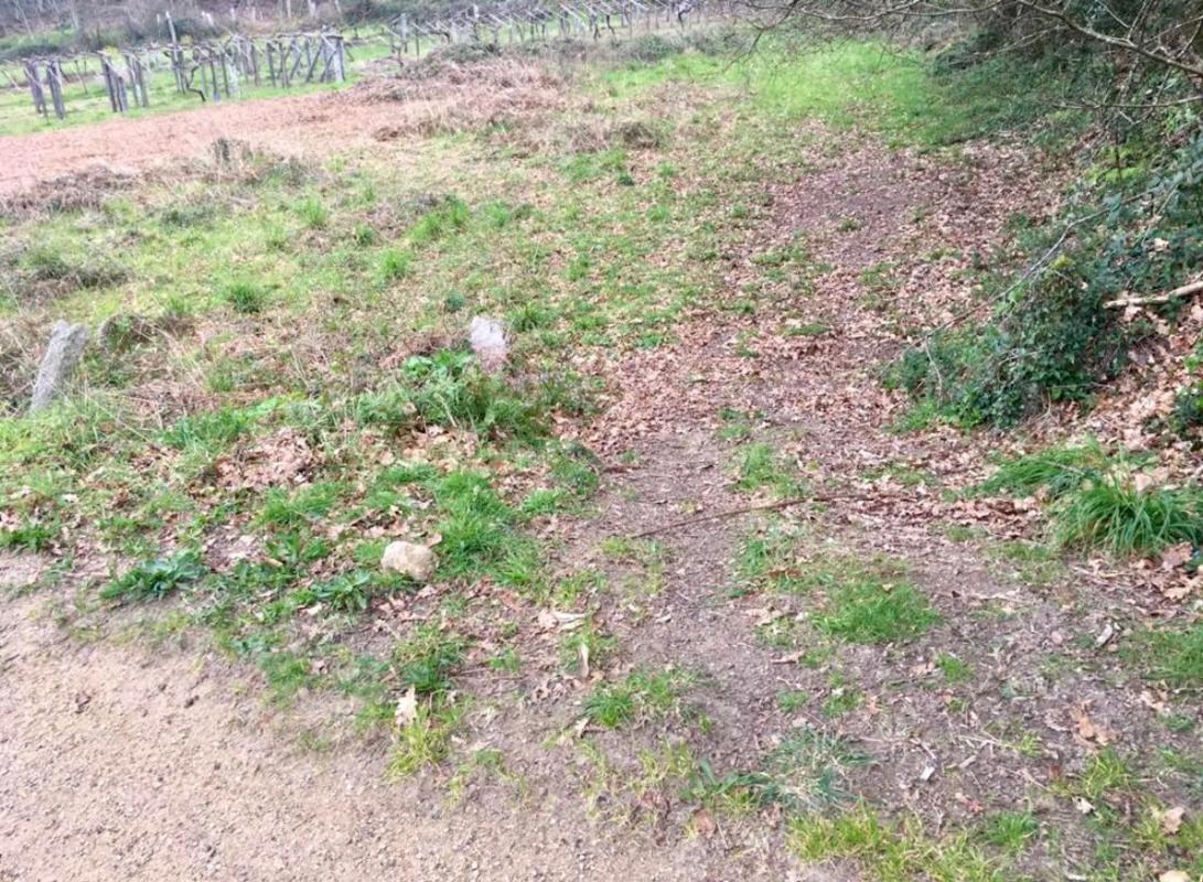 Terreno en venta en Mondariz, Pontevedra photo 1