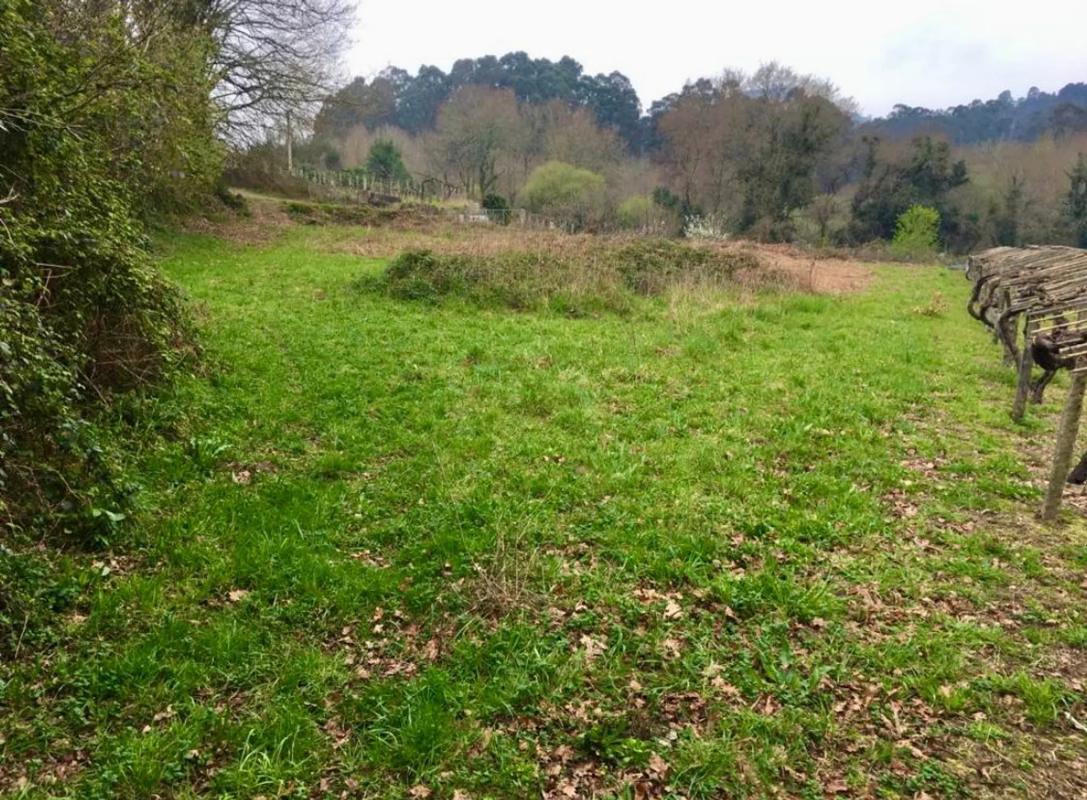 Terreno en venta en Mondariz, Pontevedra photo 5