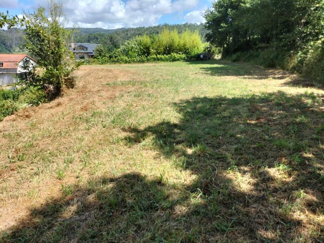 Land for sale in Salvaterra de Miño, Pontevedra photo 3