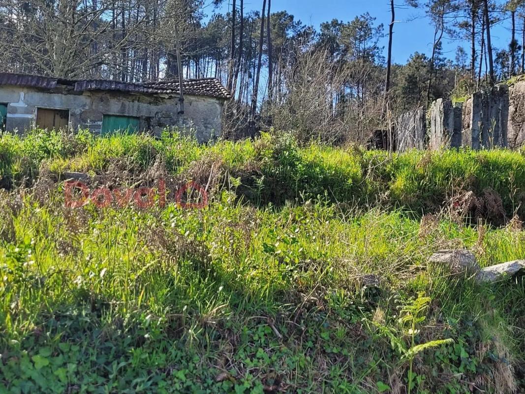 Land for sale in Ponteareas, Pontevedra photo 5