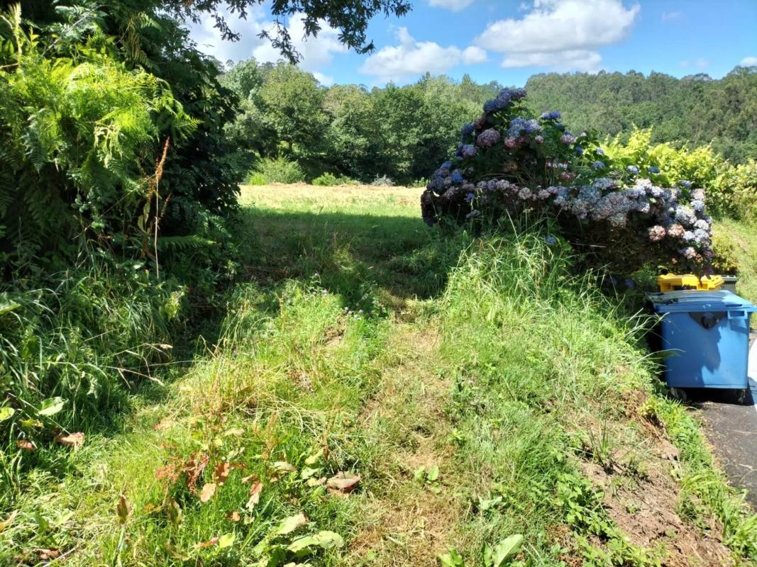 Land for sale in Salvaterra de Miño, Pontevedra photo 5