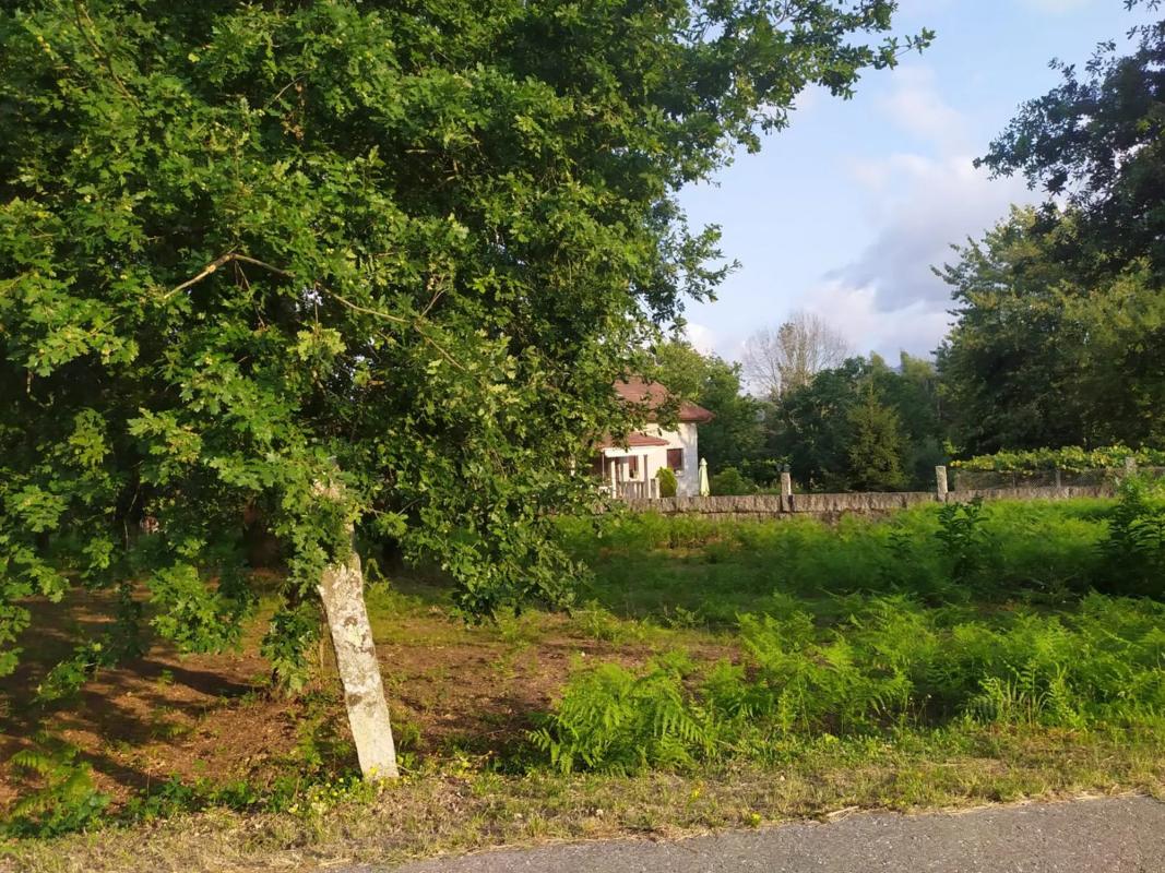 Terreno en venta en Salvaterra de Miño, Pontevedra photo 3