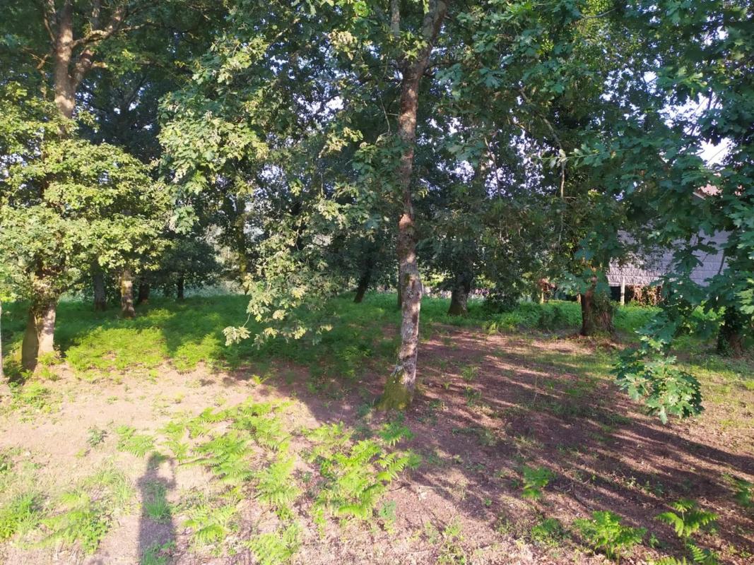 Terreno en venta en Salvaterra de Miño, Pontevedra photo 4