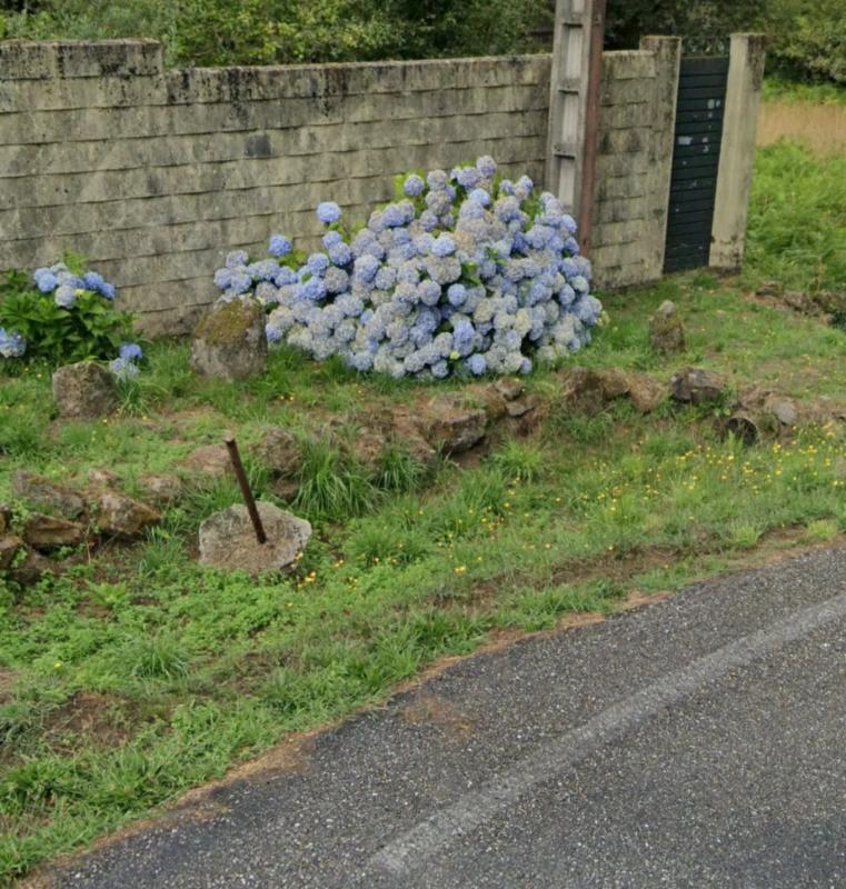 Land for sale in Fornelos, Pontevedra photo 1