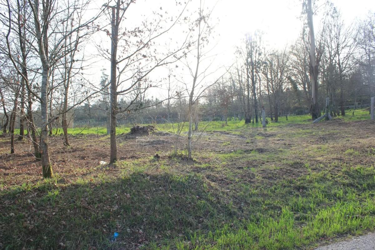 Land for sale in Salvaterra de Miño, Pontevedra photo 2