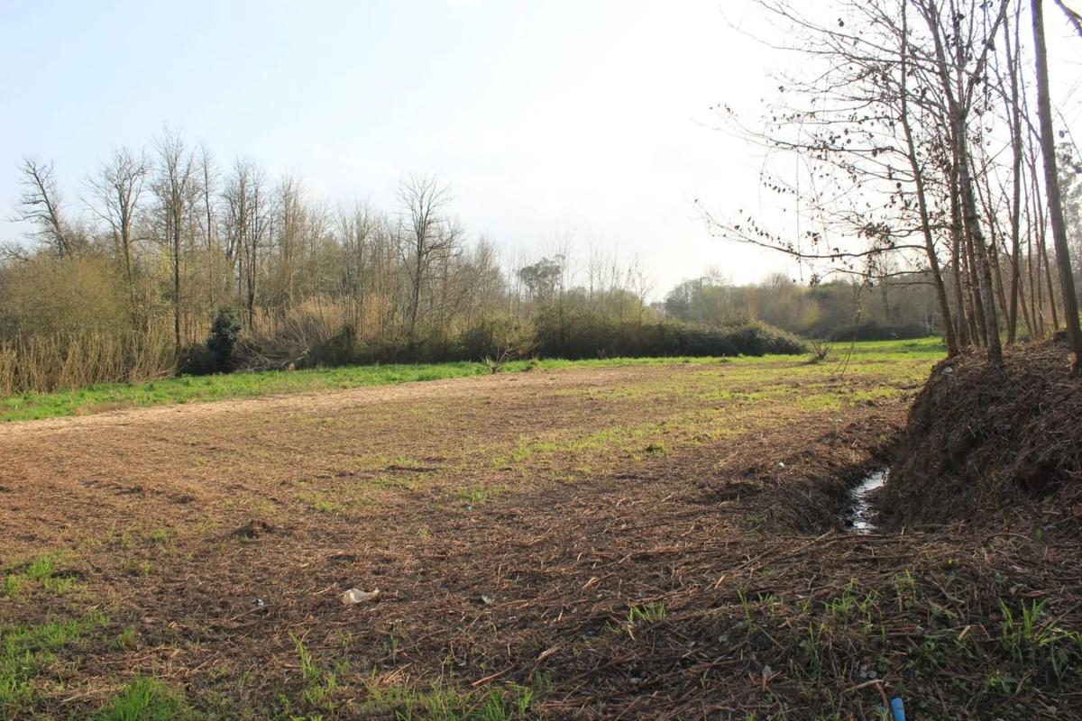 Land for sale in Salvaterra de Miño, Pontevedra photo 3