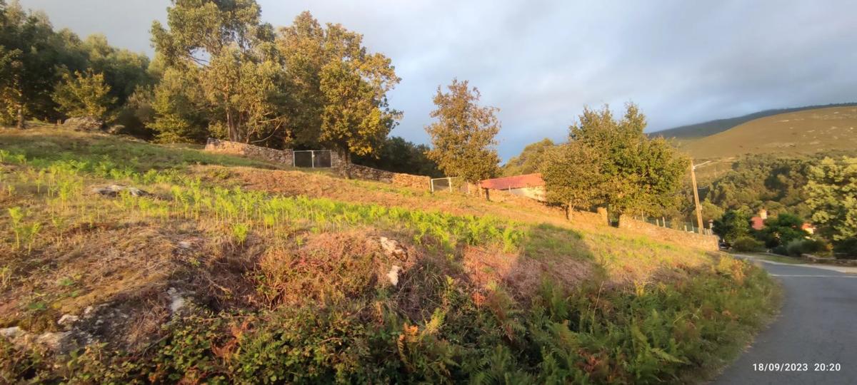 Działka na sprzedaż w A Cañiza, Pontevedra photo 2