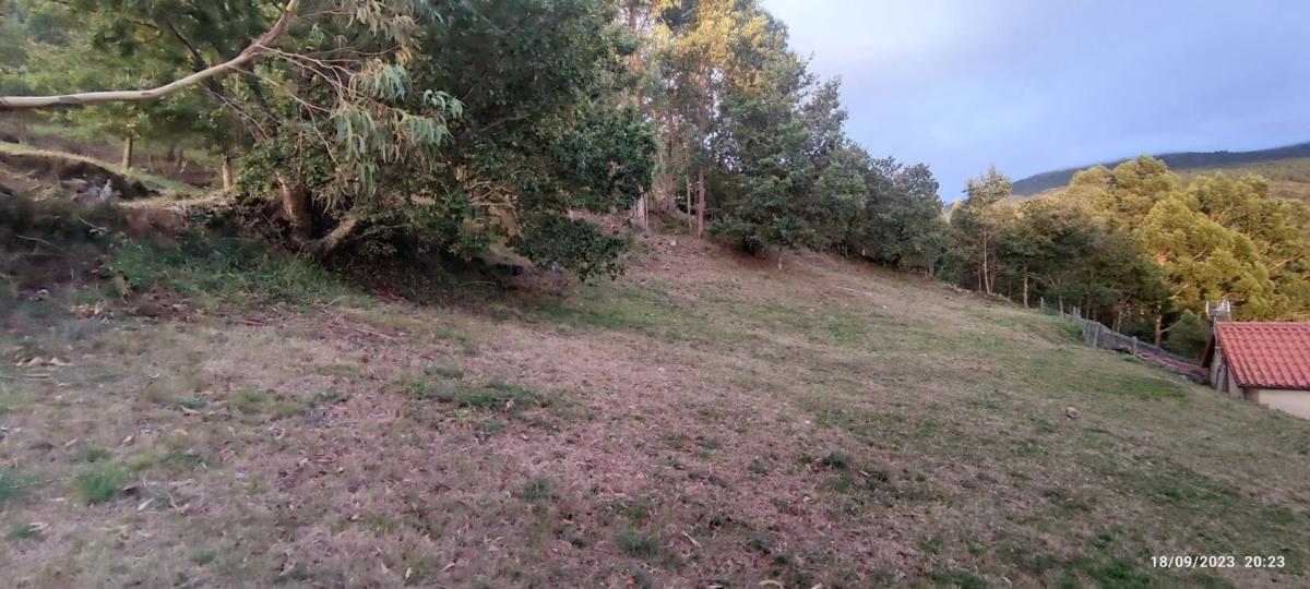 Działka na sprzedaż w A Cañiza, Pontevedra photo 5