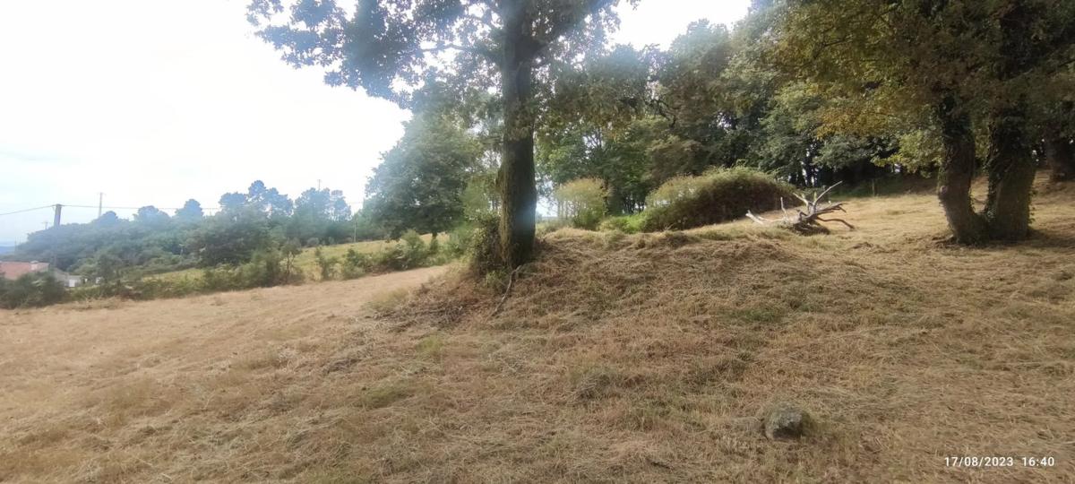 Działka na sprzedaż w O Covelo, Pontevedra photo 5