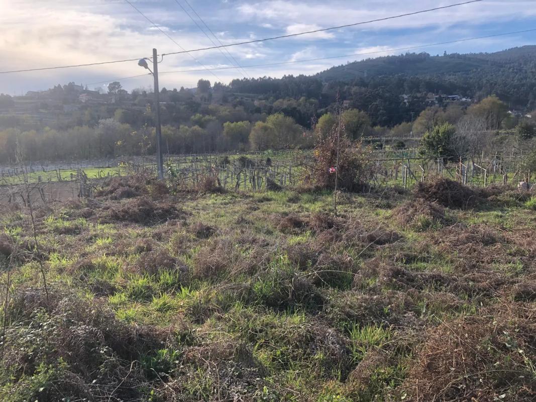 Land for sale in Arbo, Pontevedra photo 1