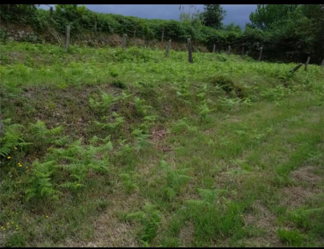 Land for sale in Arbo, Pontevedra photo 2