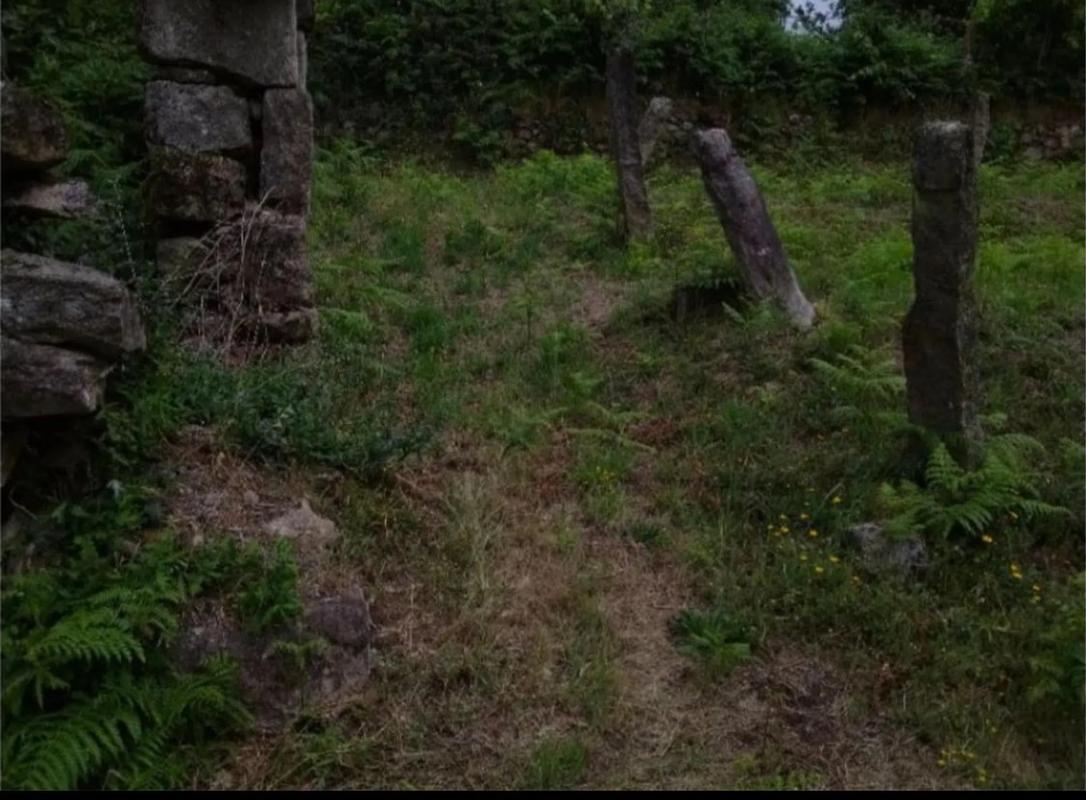 Land for sale in Arbo, Pontevedra photo 3