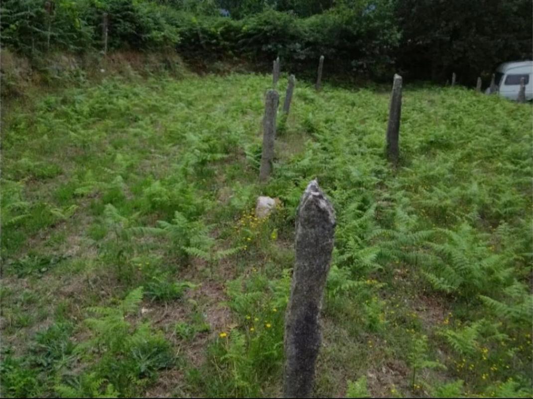 Land for sale in Arbo, Pontevedra photo 4