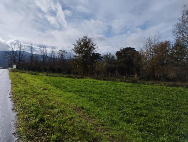 Terreno en Lugar Aldea, 5 photo 1