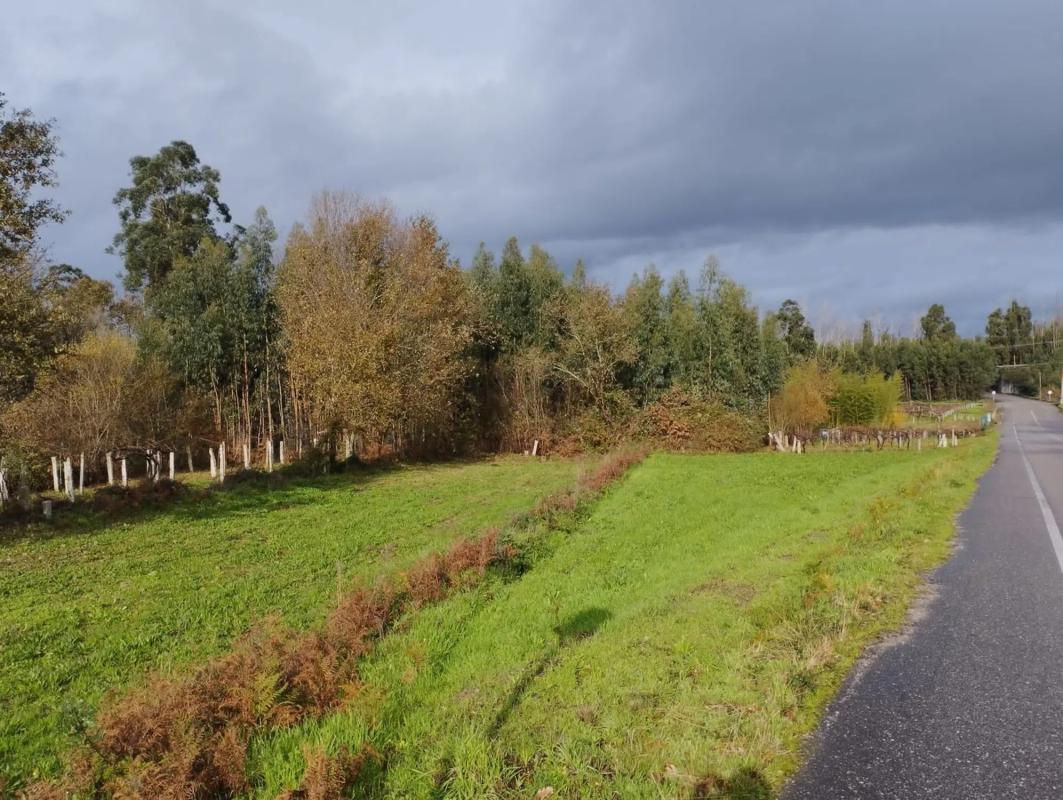 Terreno en venta en As Neves, Pontevedra photo 3