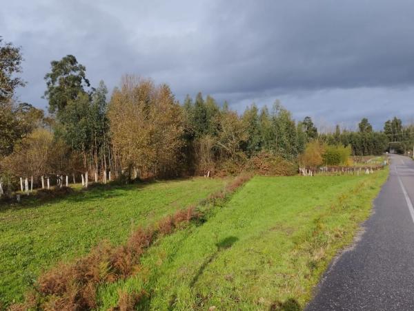 Terreno en Lugar Aldea, 5 thumbnail 2