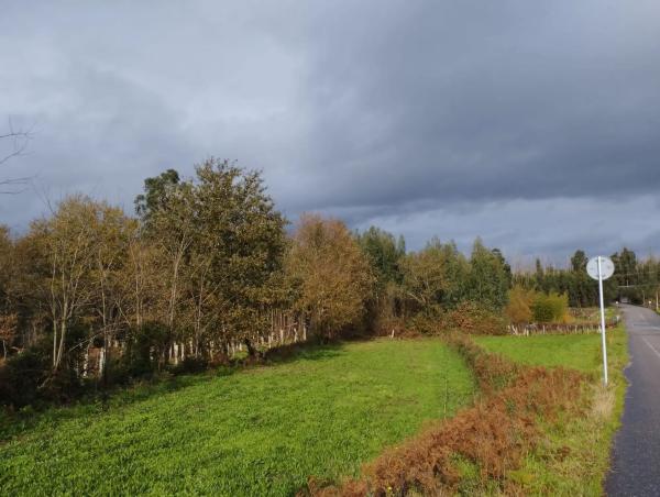 Terreno en Lugar Aldea, 5 photo 4