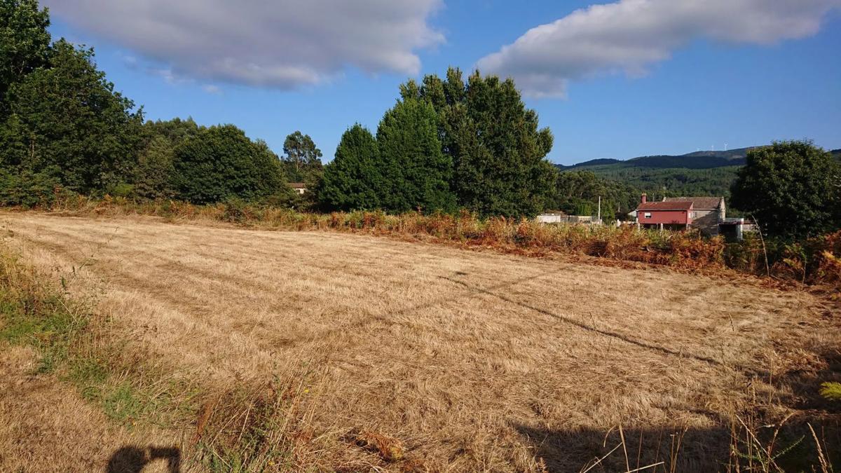Terreno en venta en O Covelo, Pontevedra photo 1