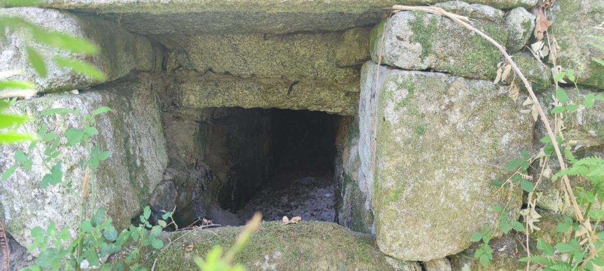 Działka na sprzedaż w As Neves, Pontevedra photo 5