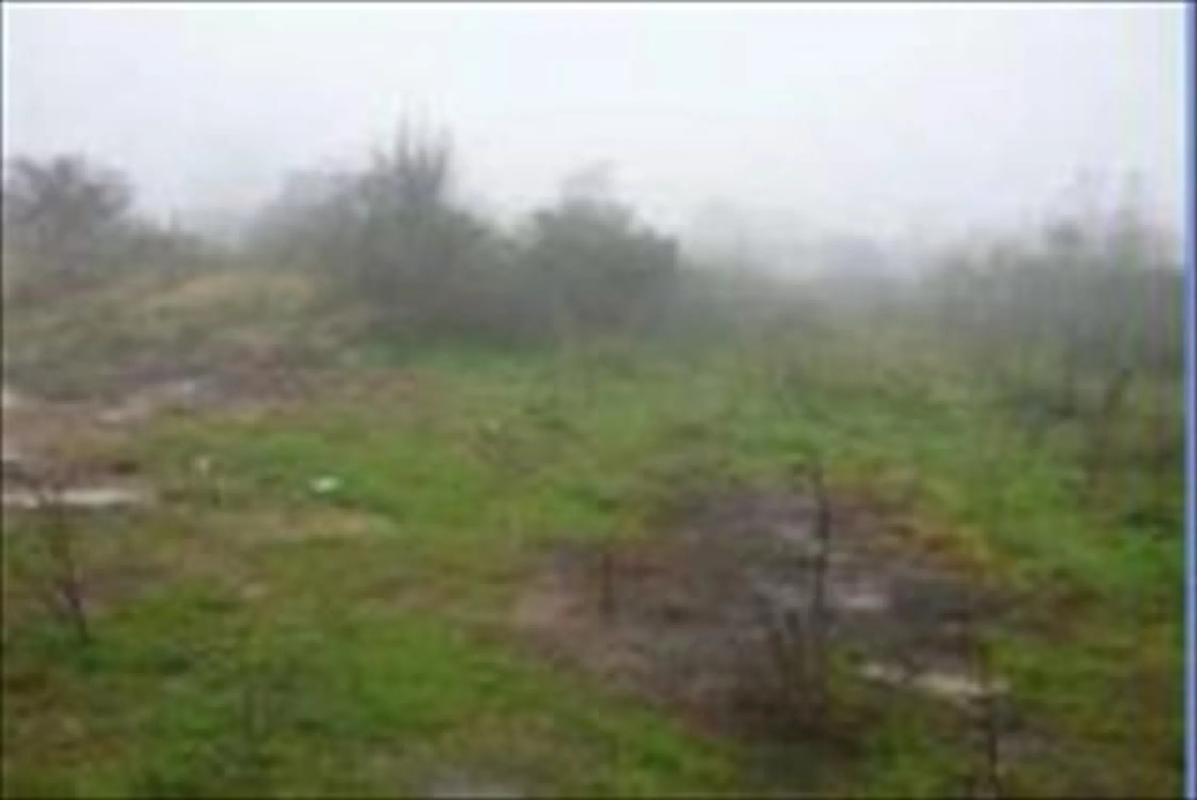 Land for sale in Ponteareas, Pontevedra photo 3