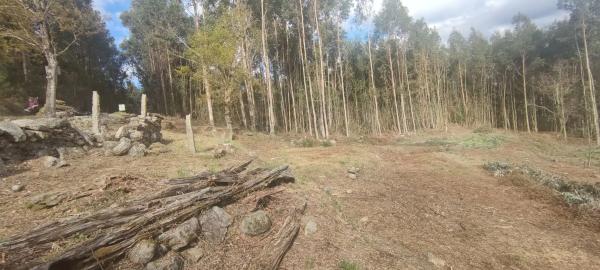 Terreno en Lugar Rocha - Avelenda, 1 photo 3