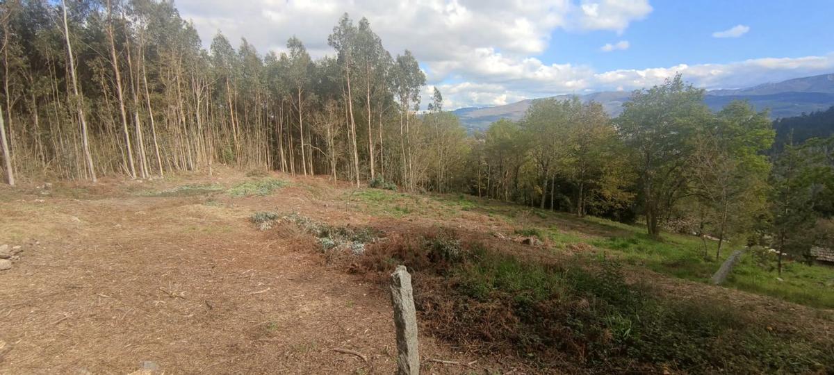 Działka na sprzedaż w Arbo, Pontevedra photo 4