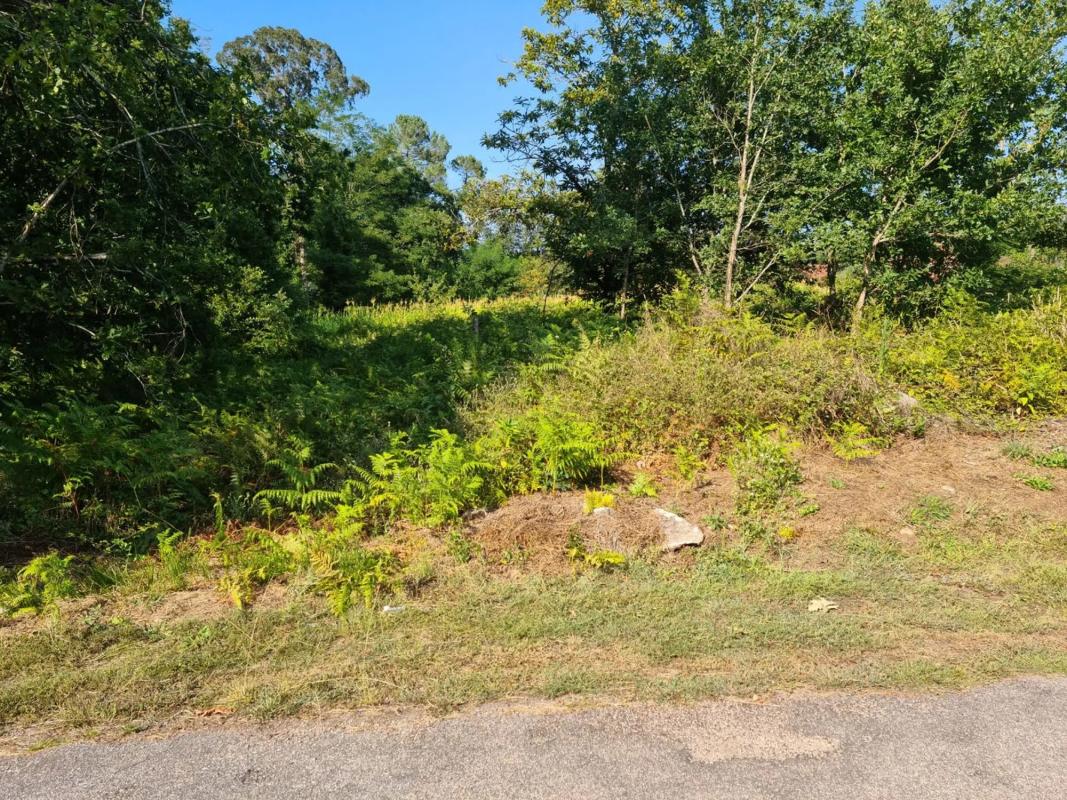 Terreno en venta en Salvaterra de Miño, Pontevedra photo 3