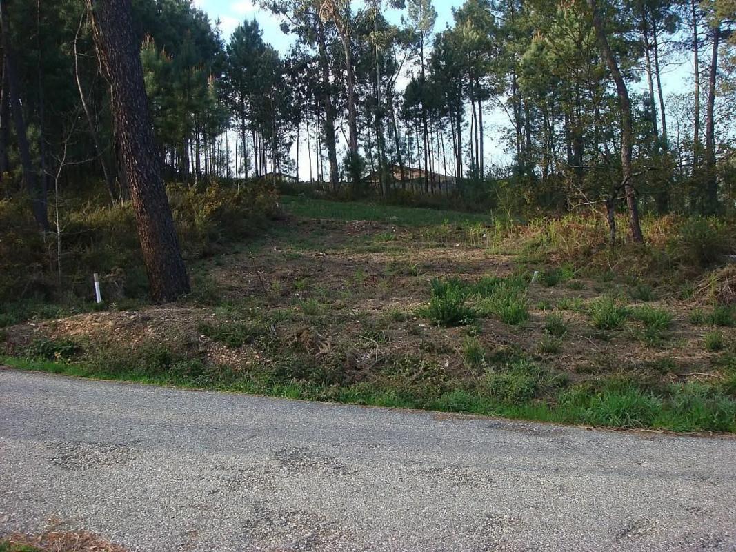 Land for sale in Salvaterra de Miño, Pontevedra photo 3