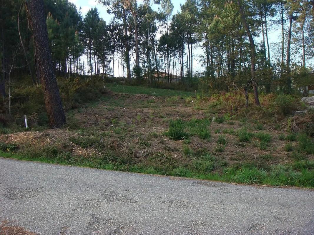 Land for sale in Salvaterra de Miño, Pontevedra photo 4