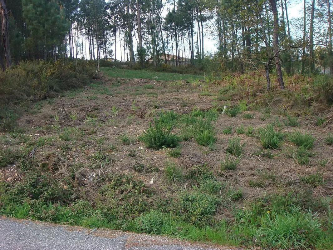 Land for sale in Salvaterra de Miño, Pontevedra photo 5