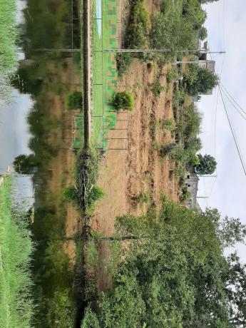 Terreno en s/n, km 2 photo 3