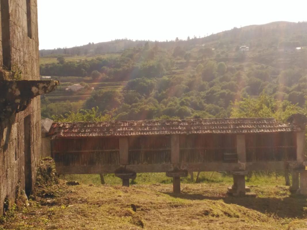 Land for sale in As Neves, Pontevedra photo 3