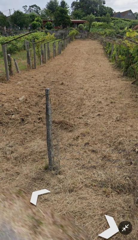 Terreno en venta en As Neves, Pontevedra photo 5