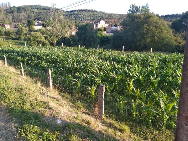 Terreno en Pías s/n photo 1