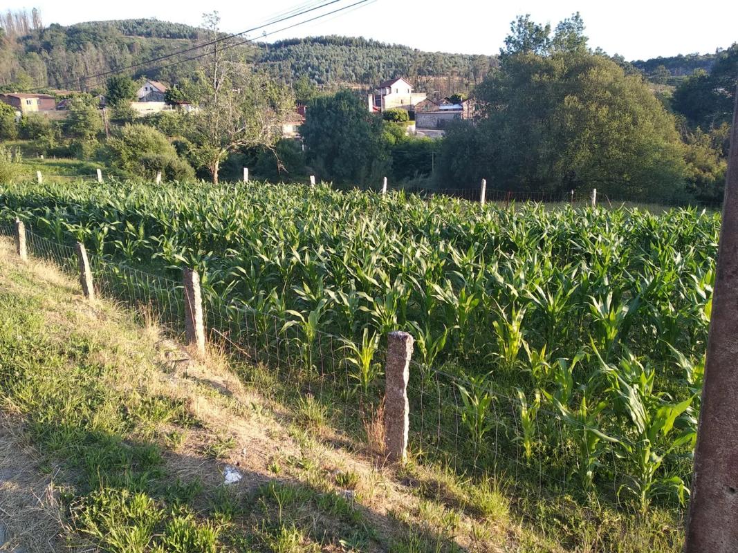 Land for sale in Ponteareas, Pontevedra photo 3