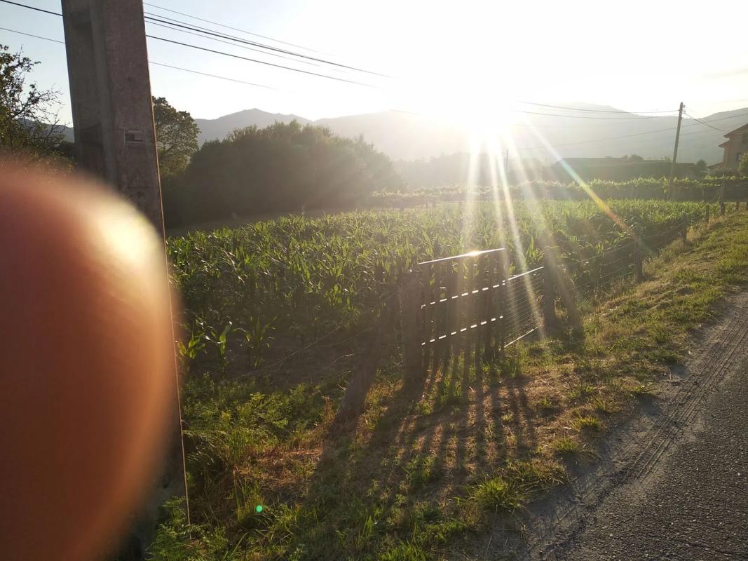 Land for sale in Ponteareas, Pontevedra photo 4