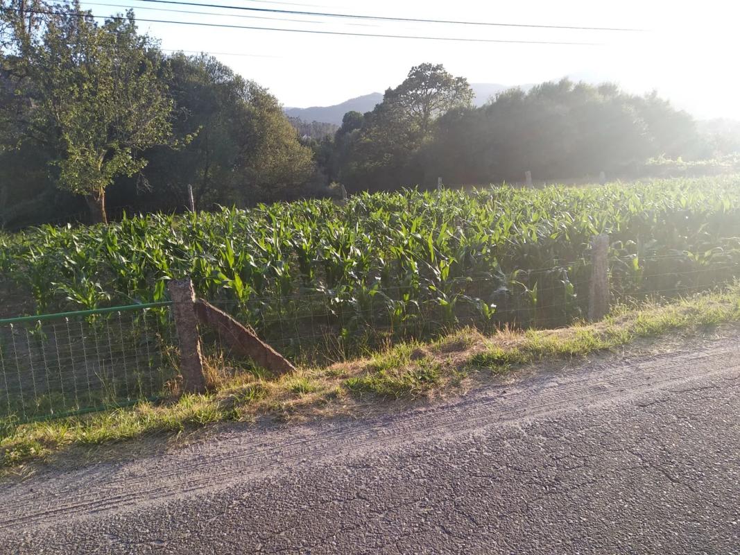 Land for sale in Ponteareas, Pontevedra photo 5