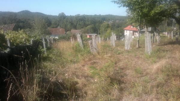 Terreno en Cp-9002, 10 photo 1