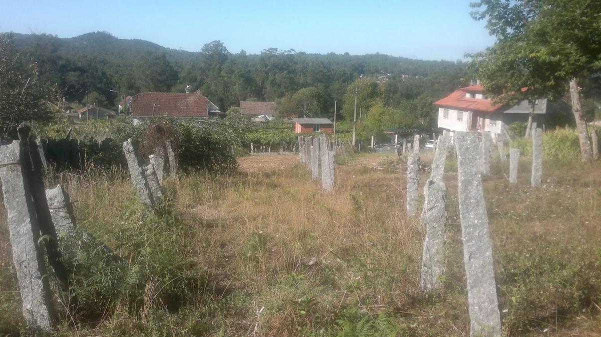 Land for sale in Salvaterra de Miño, Pontevedra photo 3