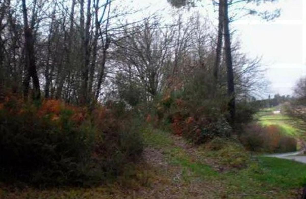 Działka na sprzedaż w Dozon, Pontevedra photo 2