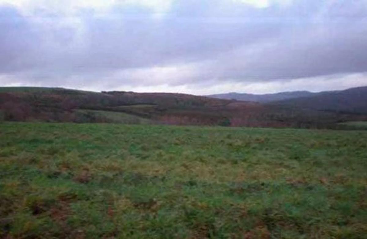 Działka na sprzedaż w Dozon, Pontevedra photo 4