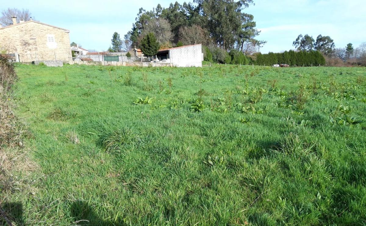 Land for sale in Lalin, Pontevedra photo 2