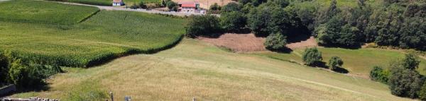 Terreno en Outeiro, 9 photo 2