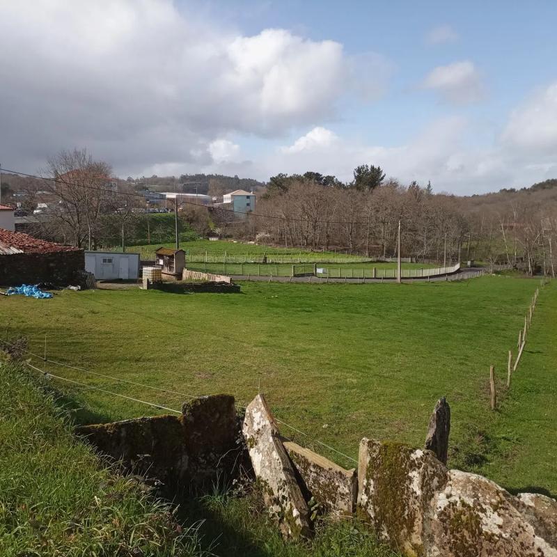 Terreno en venta en Lalin, Pontevedra photo 5
