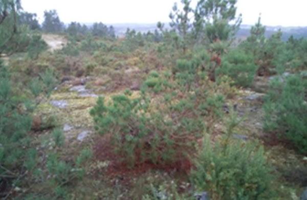 Terreno en Lamas de Cadron photo 2